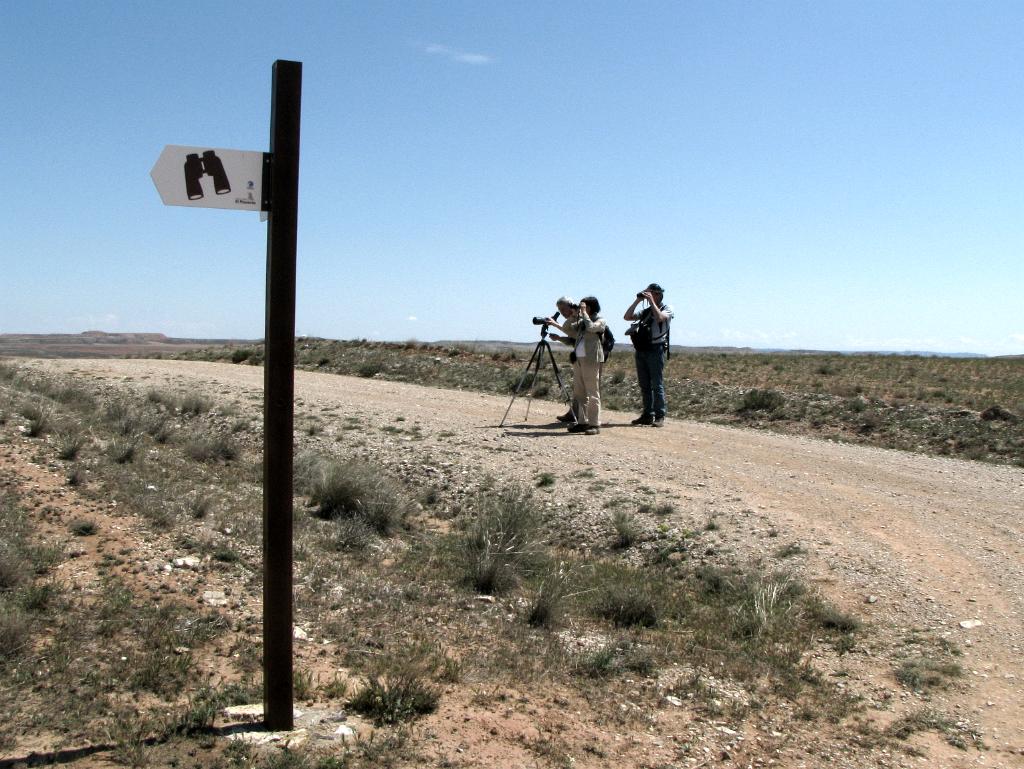 El Planerón